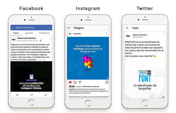 Gestión de Redes Sociales Ananás Burger