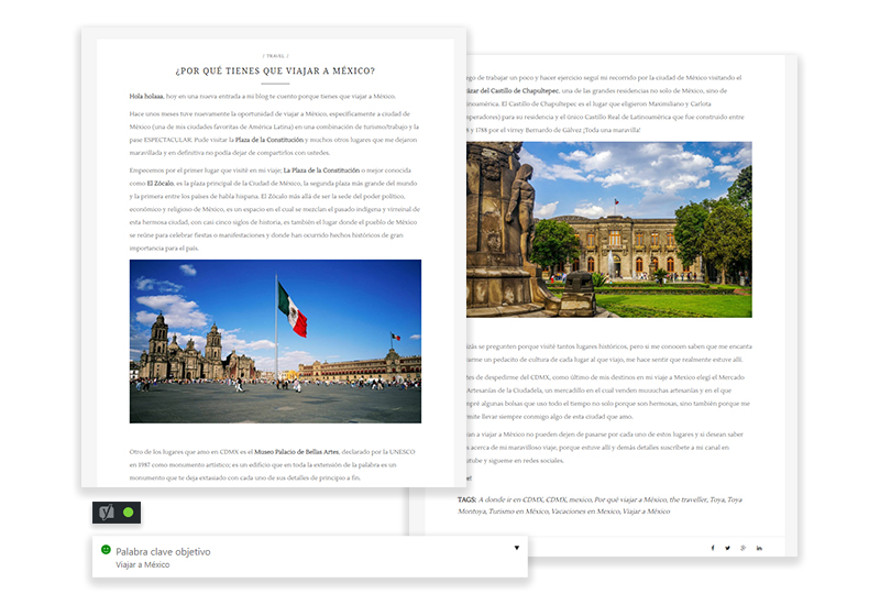 Redacción SEO Toya Montoya