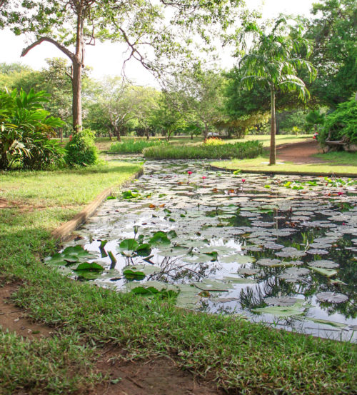 Social Media Management Kapui Tours