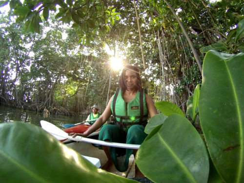 Social Media Management Kapui Tours