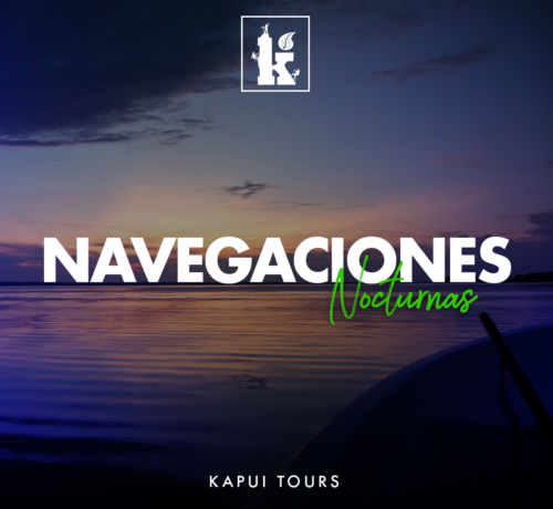 Social Media Management Kapui Tours